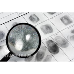 Phương pháp tiếp cận để thu thập dữ liệu trong nghiên cứu tội phạm?