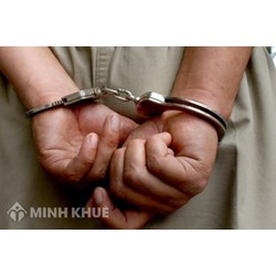 Phương pháp thu thập dữ liệu trong nghiên cứu tội phạm học? Cho ví dụ