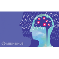 Tình huống phạm tội là gì ? Vai trò của tình huống trong cơ chế hình thành hành vi phạm tội