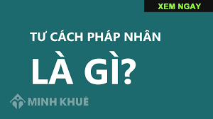 Có bao nhiêu loại tổ chức được định nghĩa là pháp nhân?
