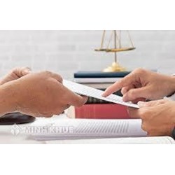 Năng lực chủ thể của pháp nhân là gì ? Quy định về hoạt động của pháp nhân