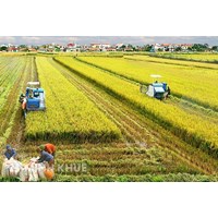 Phân tích các nguyên tắc tổ chức và hoạt động của hợp tác xã ?