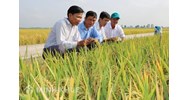Thành viên hợp tác xã là gì? Quyền, nghĩa vụ thành viên hợp tác xã