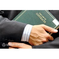 Pháp luật nào điều chỉnh nội dung hợp đồng trong lĩnh vực thương mại ?