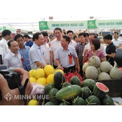 Trưng bày, <strong>giới</strong> thiệu hàng hoá, dịch vụ là gì ? Đặc điểm trưng bày, <strong>giới</strong> thiệu hàng hoá, dịch vụ