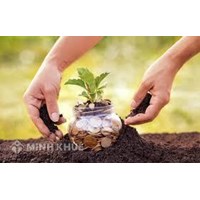 Quyền và nghĩa vụ của hộ gia đình, cá nhân sử dụng đất?