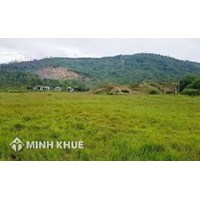 Có được thừa kế trong trường hơp mua bán đất bằng giấy tờ viết tay?