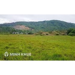 Có được thừa kế trong trường hơp mua bán đất bằng giấy tờ viết tay?