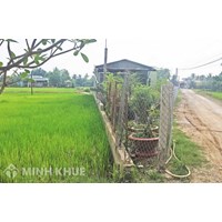 Xử lý hành vi lấn đất bờ ruộng, đất ven rừng