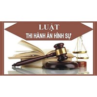 Phân tích các nguyên tắc thi hành án hình sự