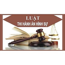 Phân tích các nguyên tắc thi hành án hình sự