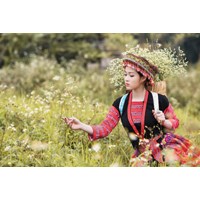 Thay đổi dân tộc để có điểm ưu tiên khi dự kì thi trung học phổ thông quốc gia?
