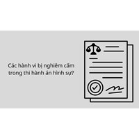 Các hành vi bị nghiêm cấm trong thi hành án hình sự?