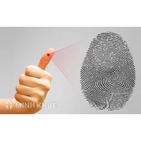 Dấu vết tay, dấu vân tay được phát hiện, thu lượm, ghi nhận như thế nào ?