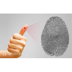 Dấu vết tay, dấu vân tay được phát hiện, thu lượm, ghi nhận như thế nào ?