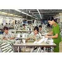 Phạm nhân thi hành án phạt tù có phải lao động không?Chế độ lao động, học tập của phạm nhân được quy định như thế nào?