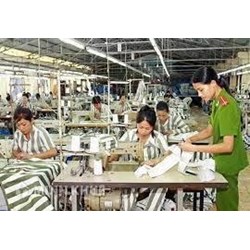 Phạm nhân thi hành án phạt tù có phải lao động không?Chế độ lao động, học tập của phạm nhân được quy định như thế nào?