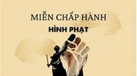 Thủ tục miễn chấp hành hình phạt tù?