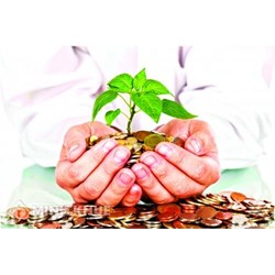 Tổ chức tài chính vi mô là gì? Hoạt động, vai trò của tổ chức tài chính vi mô