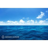 Vùng biển quốc tế là gì ? Chế độ pháp lý tại khu vực biển quốc tế  