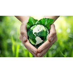 Khai thuế bảo vệ môi trường đối với tổ chức, hộ gia đình, cá nhân khai thác khoáng sản?