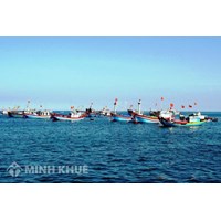 Khái niệm, đặc điểm của hoạt động khai thác chung trên các vùng biển ?