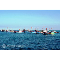 Khái niệm, đặc điểm của hoạt động khai thác chung trên các vùng biển ?