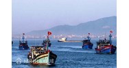 Thực tiễn trên thế giới và Việt nam về hoạt động khai thác chung trên biển ?