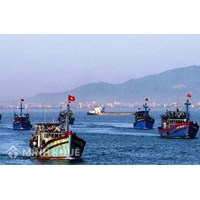 Thực tiễn trên thế giới và Việt nam về hoạt động khai thác chung trên biển ?