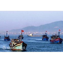 Thực tiễn trên thế giới và Việt nam về hoạt động khai thác chung trên biển ?