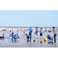 Quy định pháp luật Việt Nam về bảo vệ môi trường biển ?