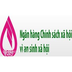 Đặc điểm, phân loại và chức năng ngân hàng chính sách mới nhất