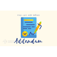 Mẫu phụ lục hợp đồng thông báo tạm hoãn hợp đồng, điều chuyển công tác bằng tiếng Anh