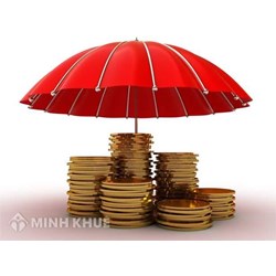 Tiền gửi là gì? Phòng ngừa rủi ro tiền gửi và bảo hiểm tiền gửi?