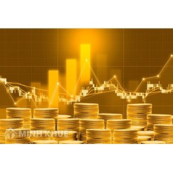 Kinh doanh vàng trên tài khoản và tổng hợp các quy định về vàng
