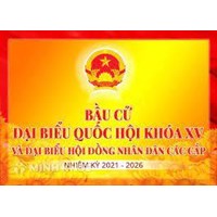 Quyền cơ bản của Đại biểu Quốc hội được quy định như thế nào?