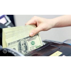 Hồ sơ, thủ tục xin cấp phép sử dụng ngoại hối trên lãnh thổ Việt Nam?