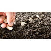 Những vấn đề cần lưu ý khi thế chấp ô tô, xe máy và quyền sử dụng đất