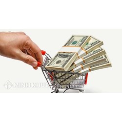 Pháp luật về mang ngoại hối qua biên giới? Xử phạt khi mang ngoại hối qua biên giới không khai báo hải quan?