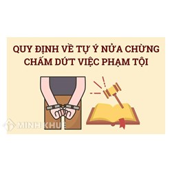 Tự ý nửa chừng chấm dứt việc phạm tội là gì? Ví dụ chi tiết