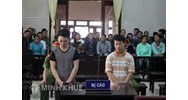 Đảng viên bị áp dụng hình phạt cải tạo không giam giữ có bị khai trừ khỏi Đảng?