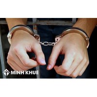 Không tố giác tội phạm và và che giấu tội phạm được quy định như thế nào?