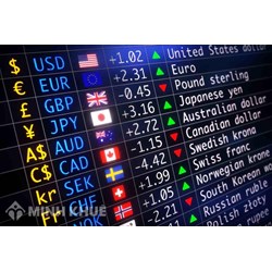 Điều kiện, thủ tục, phạm vi hoạt động ngoại hối của công ty tài chính tổng hợp, chi nhánh ngân hàng nước ngoài
