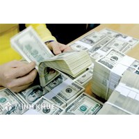 Trường hợp nào được cho vay bằng ngoại tệ? Vay ngoại tệ của nước ngoài? Văn bản đề nghị chấp thuận cho vay ngoại tệ cần có nội dung gì?