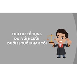 Xử lý người dưới 18 tuổi phạm tội và nguyên tắc truy cứu trách nhiệm hình sự?