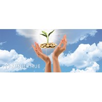 Quỹ bảo lãnh tín dụng cho doanh nghiệp vừa và nhỏ là gì? Địa vị pháp lý? Tư các pháp nhân và nghĩa vụ đối với ngân sách Nhà nước?