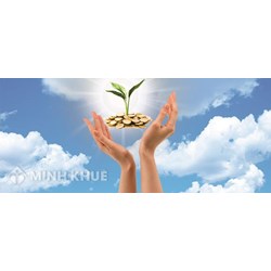 Quỹ bảo lãnh tín dụng cho doanh nghiệp vừa và nhỏ là gì? Địa vị pháp lý? Tư các pháp nhân và nghĩa vụ đối với ngân sách Nhà nước?