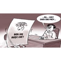 Quyền sống, quyền được bảo đảm an toàn về tính mạng, sức khỏe, thân thể.