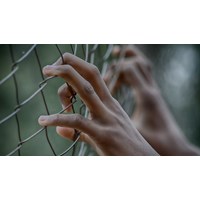 Tha tù trước thời hạn có điều kiện theo Điều 66 Bộ Luật Hình sự