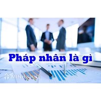 Một tổ chức là pháp nhân khi nào? So sánh pháp nhân thương mại và phi thương mại?